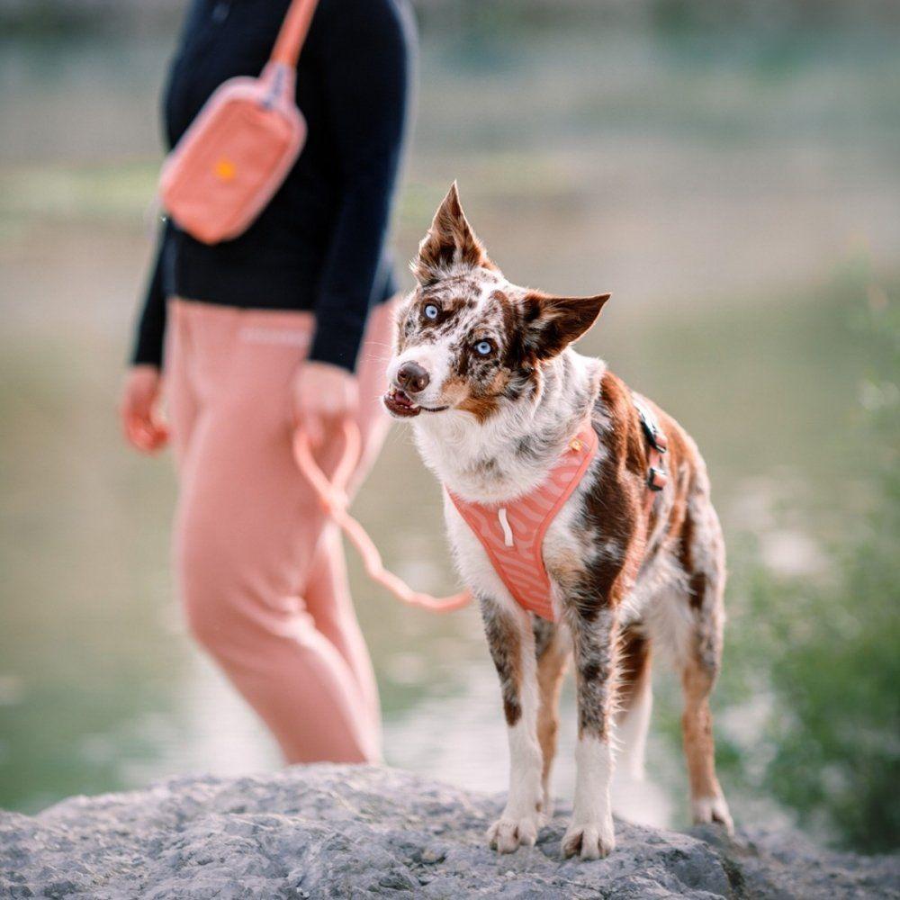 Woolly Wolf Roam Hundsele Rosa (M)