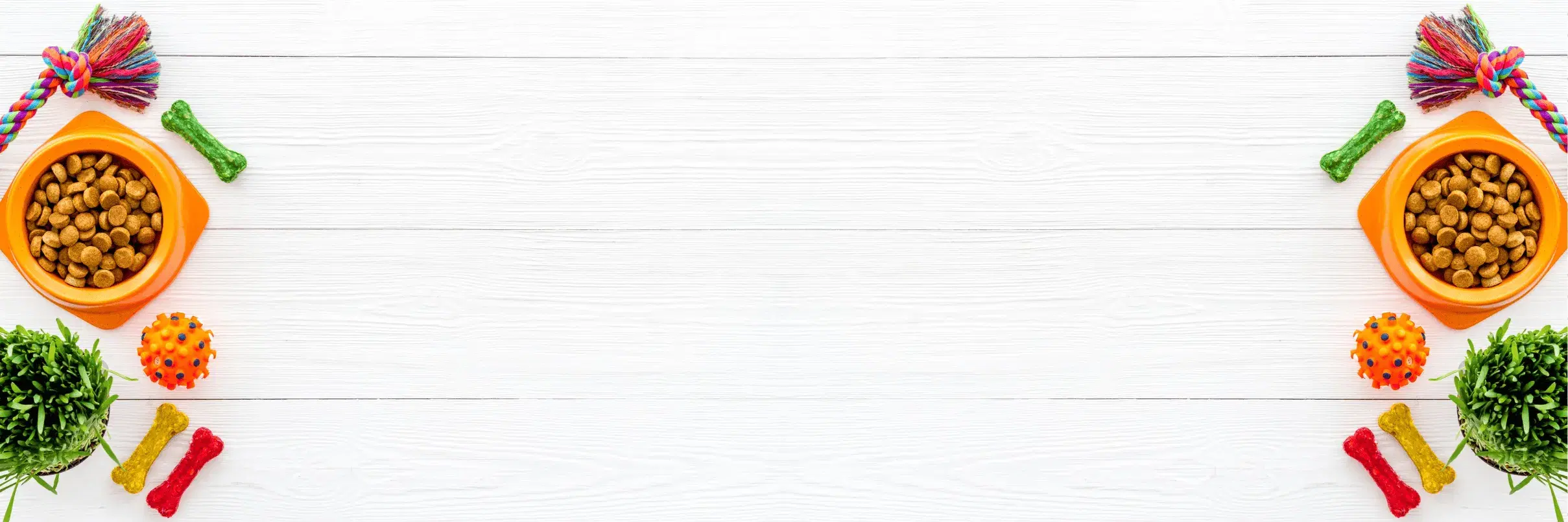 Pawsome Choice hero background